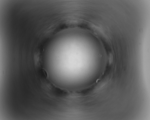 X0000092311059200709211245