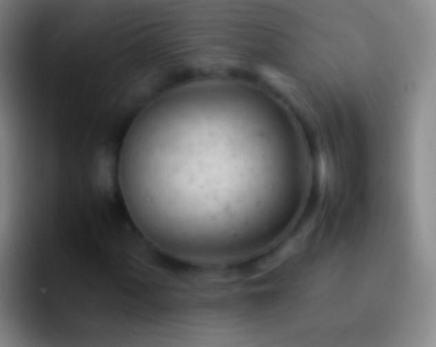 X0000092311060200709211245