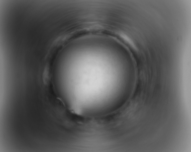 X0000092311063200709211245