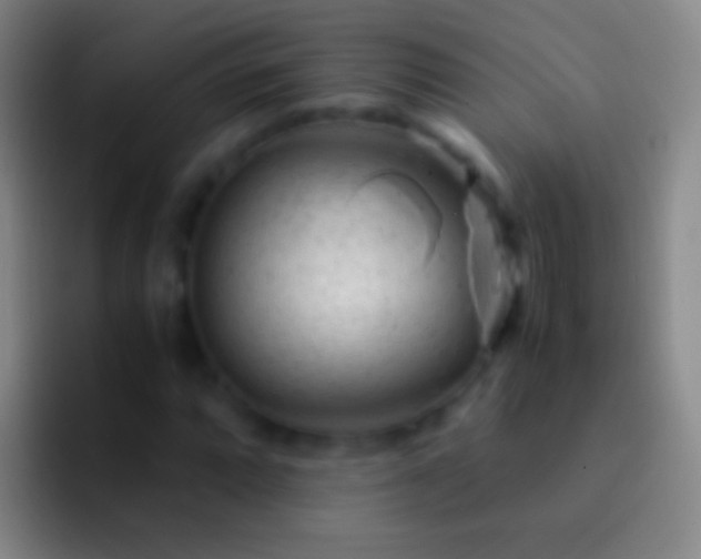 X0000092311064200709211245