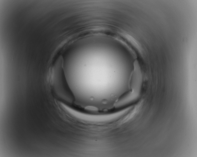 X0000092311065200709211245