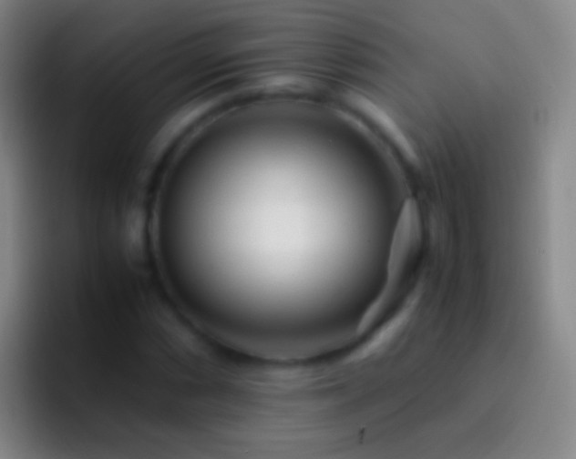 X0000092311066200709211245