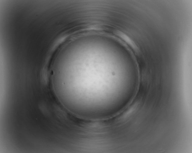 X0000092311067200709211245