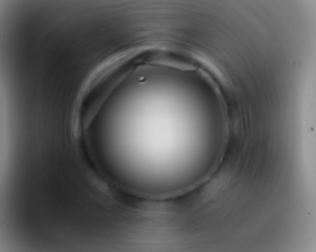 X0000092311069200709211245