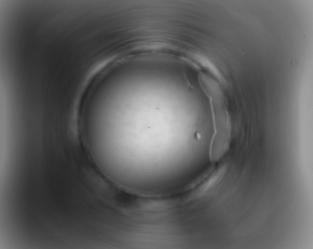 X0000092311071200709211245