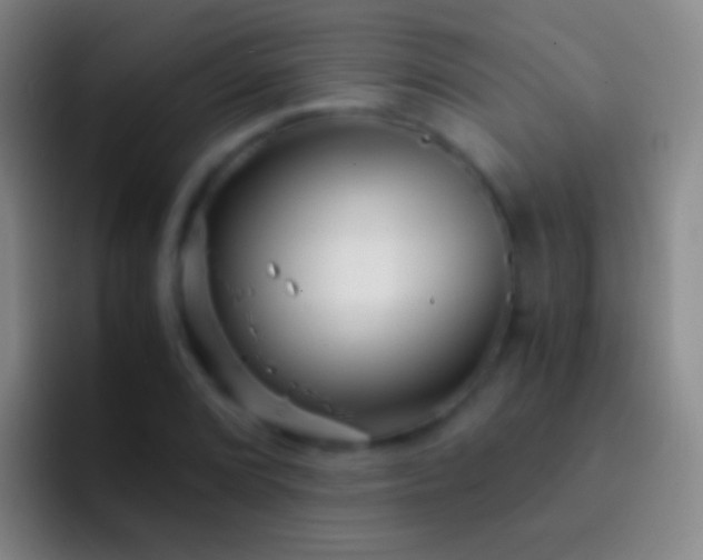 X0000092311072200709211245