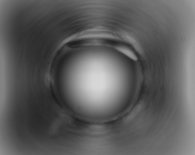 X0000092311073200709211245
