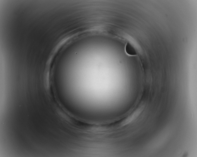 X0000092311075200709211245
