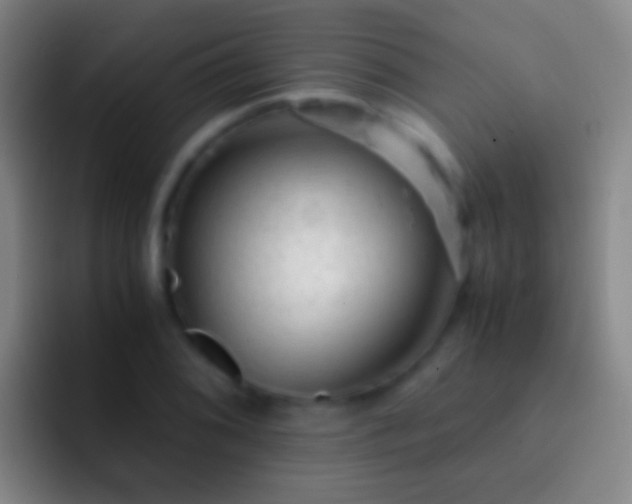X0000092311076200709211245