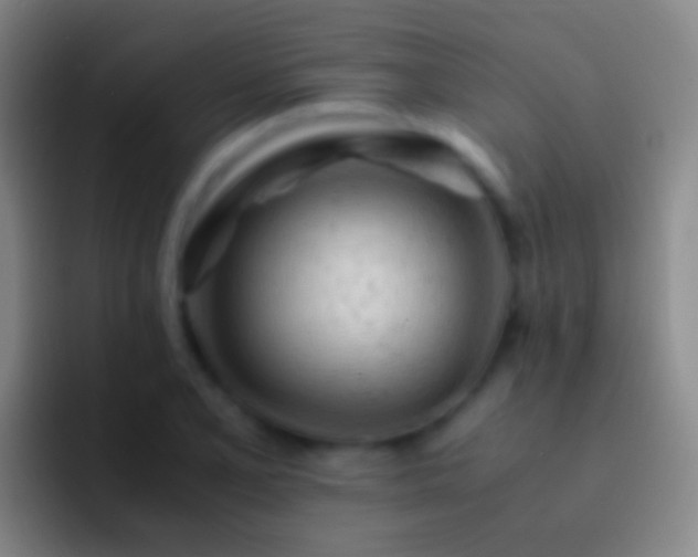X0000092311077200709211245