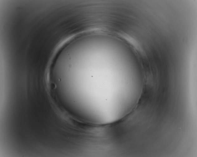 X0000092311078200709211245
