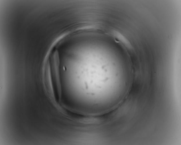 X0000092311079200709211245