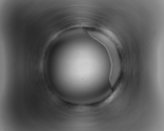 X0000092311081200709211245