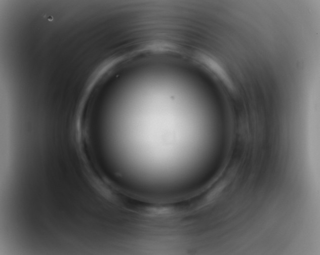 X0000092311082200709211245