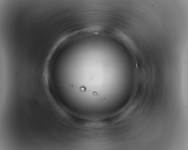 X0000092311083200709211245