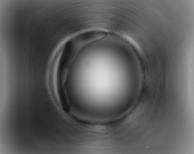 X0000092311085200709211245
