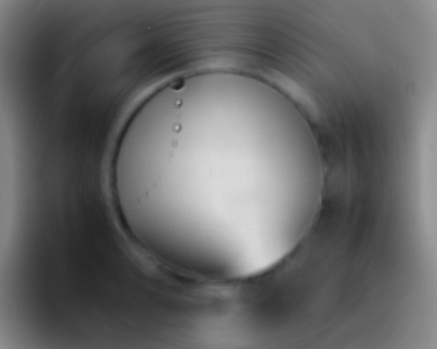 X0000092311086200709211245