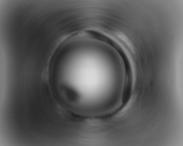X0000092311089200709211245