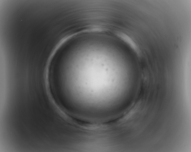 X0000092311091200709211245