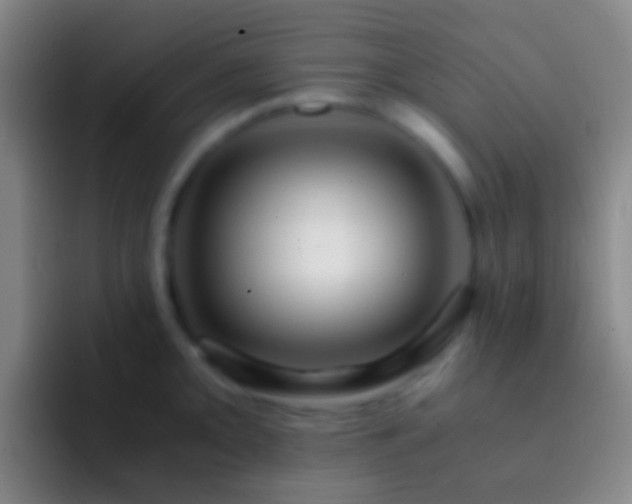X0000092311093200709211245