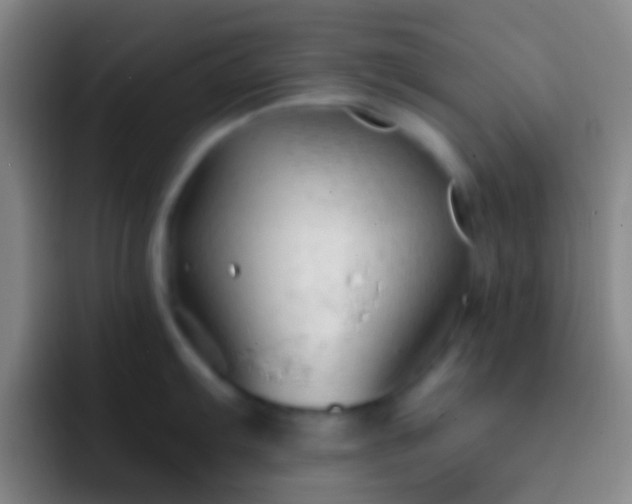X0000092311103200709211245