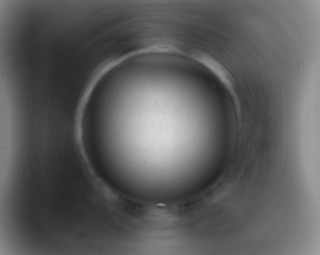 X0000092311104200709211245