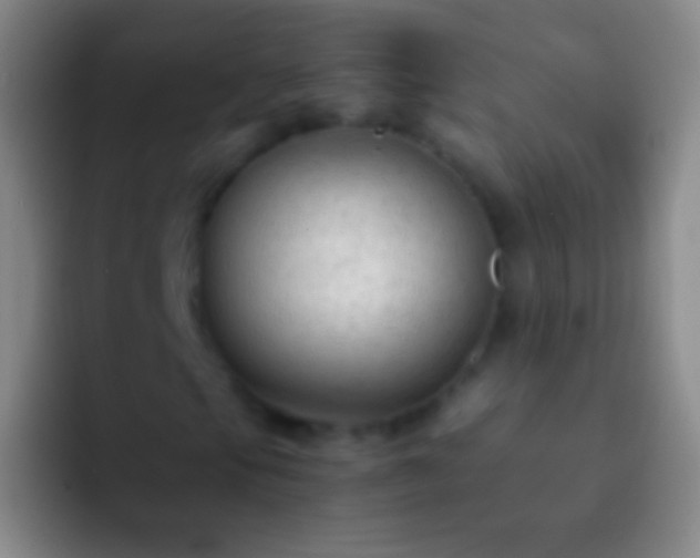 X0000092311105200709211244