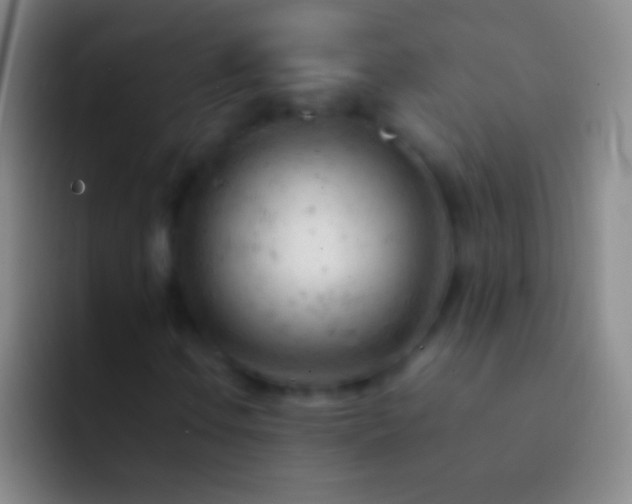 X0000092311106200709211244
