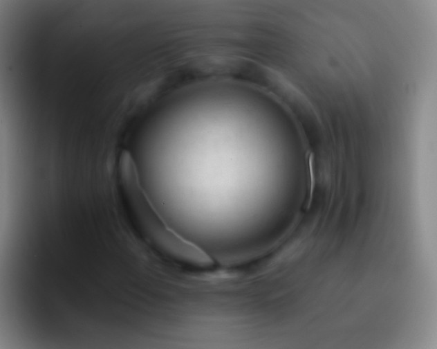 X0000092311108200709211244