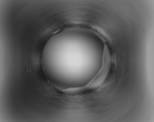 X0000092311110200709211244