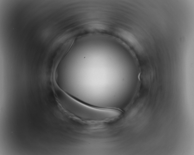X0000092311112200709211244