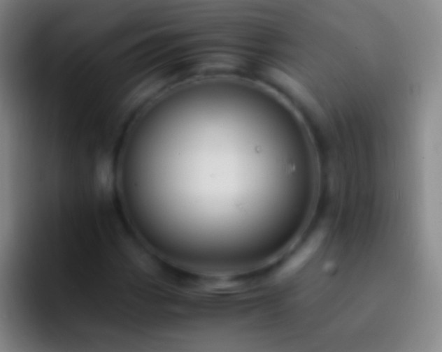 X0000092311113200709211244