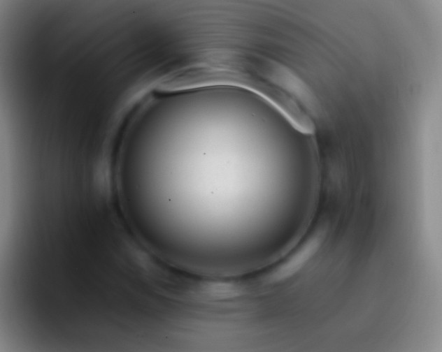 X0000092311114200709211244