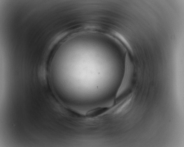 X0000092311115200709211244