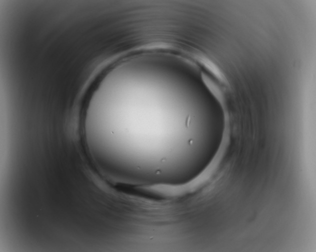 X0000092311116200709211244