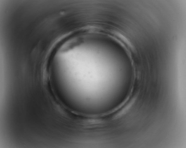 X0000092311117200709211244
