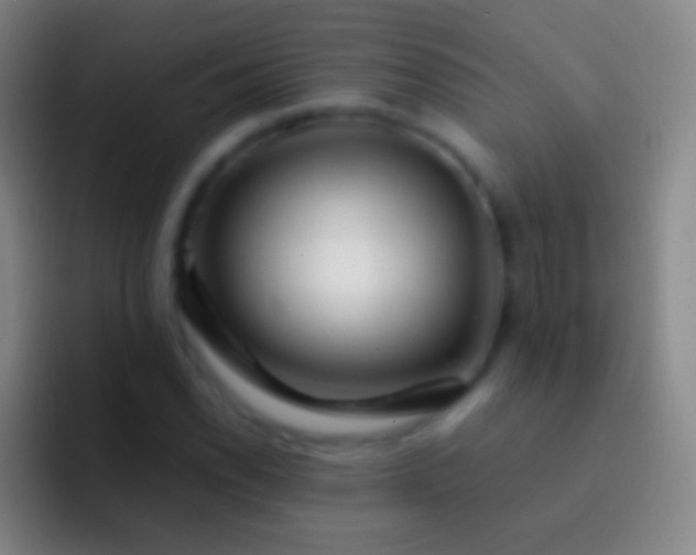 X0000092311118200709211244