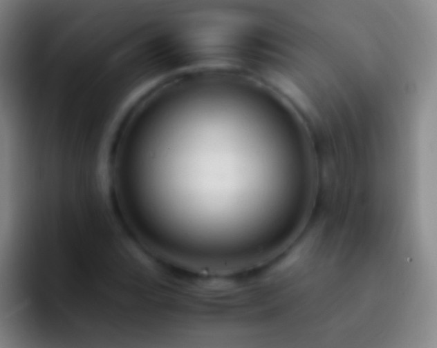 X0000092311119200709211244