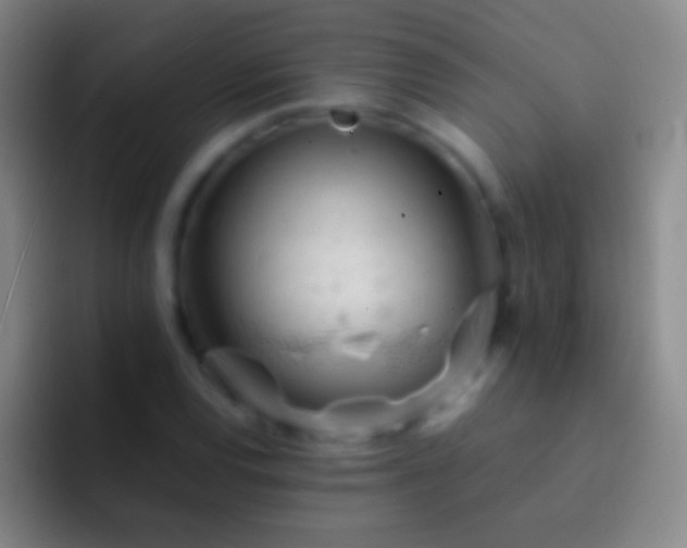 X0000092311120200709211244