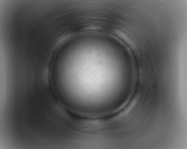 X0000092311121200709211244
