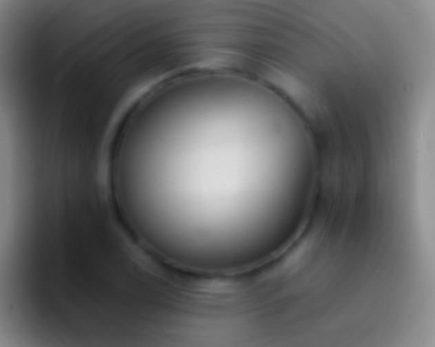 X0000092311122200709211244