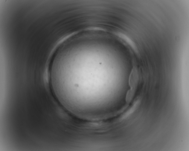 X0000092311125200709211244