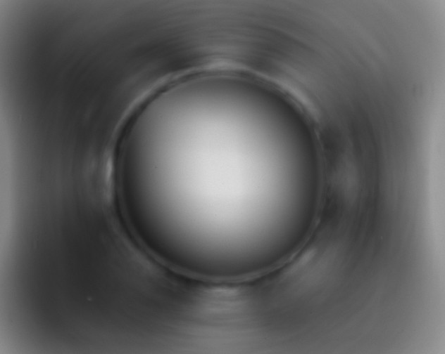 X0000092311126200709211244
