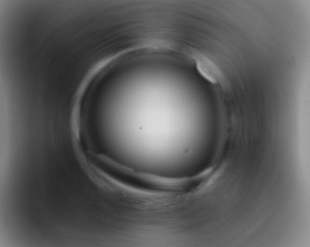 X0000092311128200709211244
