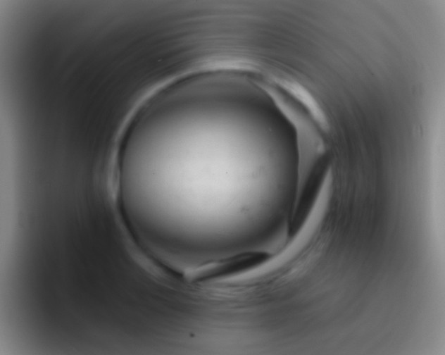 X0000092311132200709211244