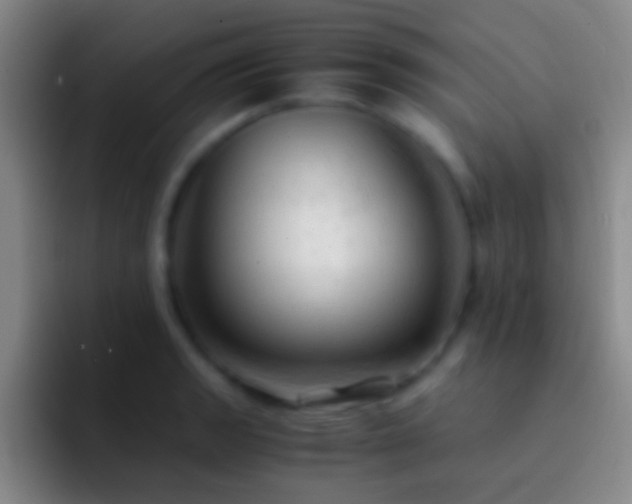 X0000092311133200709211244