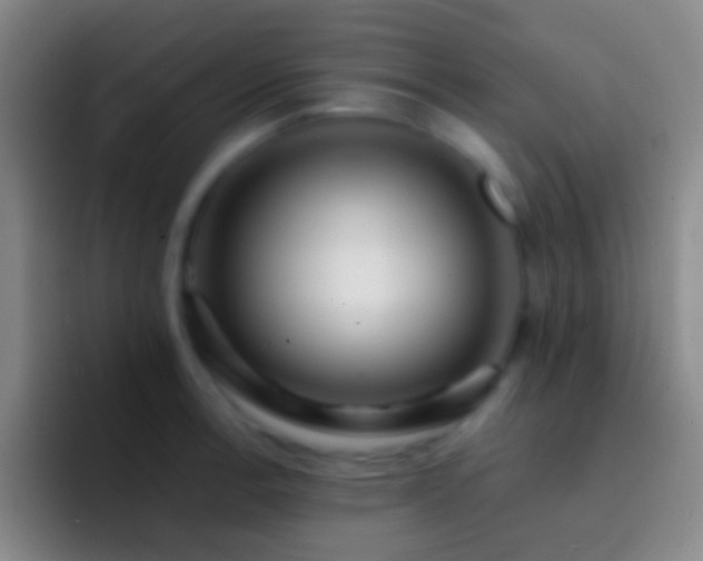X0000092311138200709211244