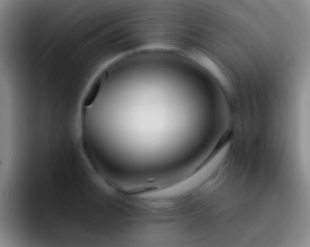 X0000092311140200709211244
