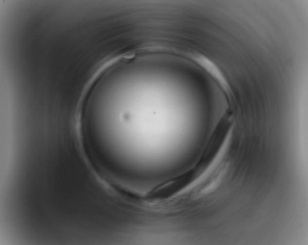X0000092311149200709211245