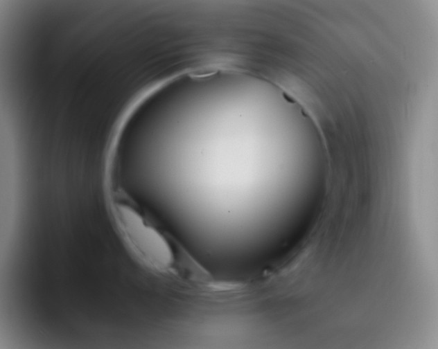 X0000092311152200709211245